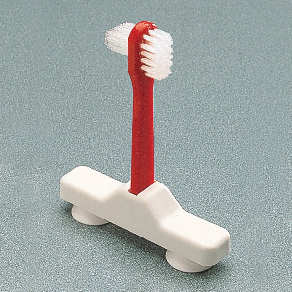 Brosse à dentier à ventouses